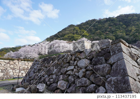 石垣のある風景　鳥取県　久松山 113437195