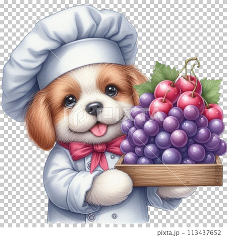 dog wearing a chef's uniform holding grapes clipart watercolor 113437652