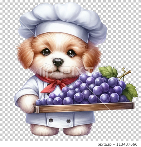 dog wearing a chef's uniform holding grapes clipart watercolor 113437660