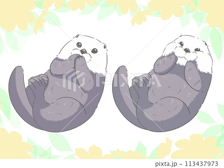 もふもふラッコ もふもふラッコ 113437973