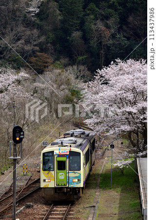 春の関西本線～お茶の京都トレイン 113437986