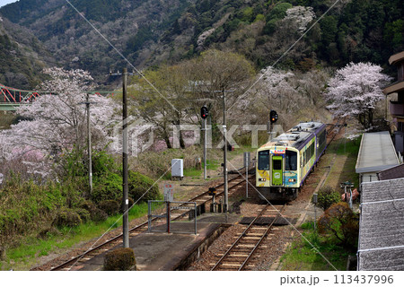 春の関西本線～お茶の京都トレイン 113437996