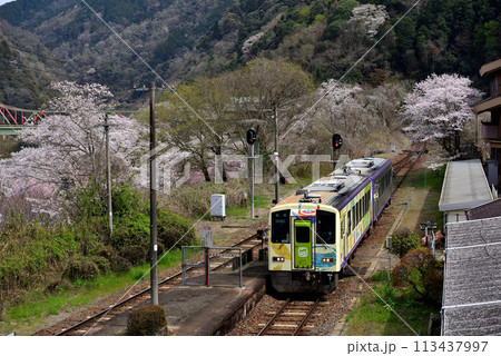 春の関西本線~お茶の京都トレイン 春の関西本線~お茶の京都トレイン 113437997