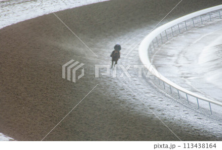 Race horse with jockeys on the home straight. Shaving effect. Race horse with jockeys on the home straight. Shaving effect. 113438164