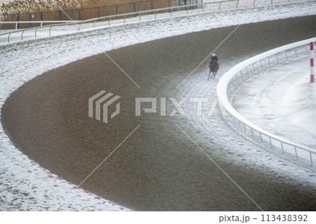 Race horse with jockeys on the home straight. Shaving effect. Race horse with jockeys on the home straight. Shaving effect. 113438392