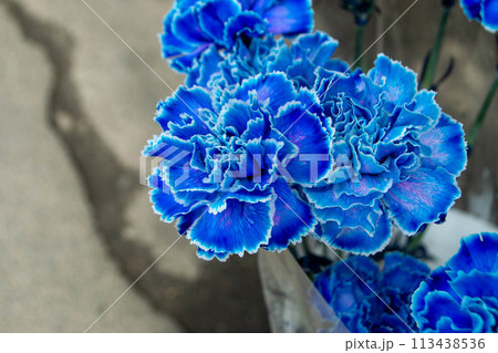 A bouquet of flowers from the flower market 113438536