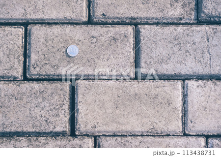 道端に落ちているコイン 道端に落ちているコイン 113438731