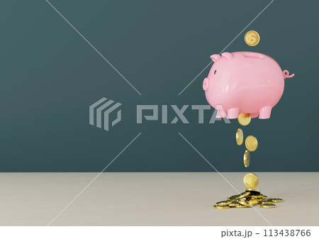 貯金箱から金貨が落ちます 3D 113438766