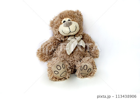 Teddy Bear brown, Teddy Bear doll isolated on white background 113438906
