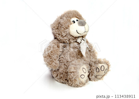 Lovely brown bear doll isolated on white background. Adorable teddy bear for decorative. Lovely brown bear doll isolated on white background. Adorable teddy bear for decorative. 113438911
