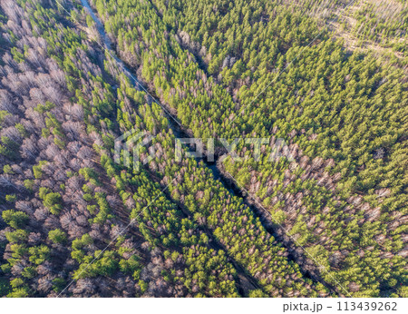 Spring or autumn lake in forest. Aerial view of lake in spring or autumn 113439262