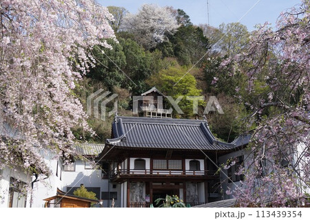 岡山県津山市にある天台系単位寺院「慈恩寺」 113439354