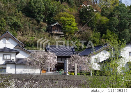 岡山県津山市にある天台系単位寺院「慈恩寺」 岡山県津山市にある天台系単位寺院「慈恩寺」 113439355