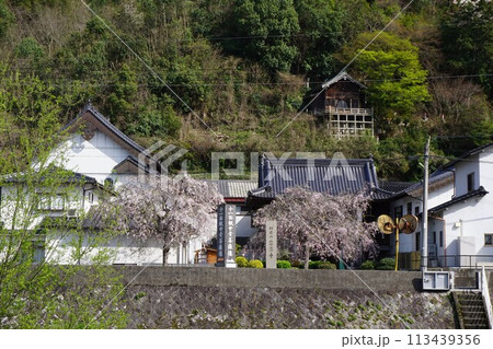 岡山県津山市にある天台系単位寺院「慈恩寺」 岡山県津山市にある天台系単位寺院「慈恩寺」 113439356