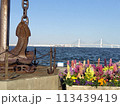 臨港パーク 113439419