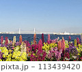 臨海パーク 113439420