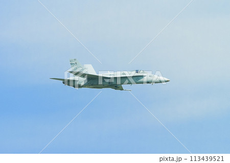 アメリカ海軍F/A-18Cホーネット水平飛行 113439521