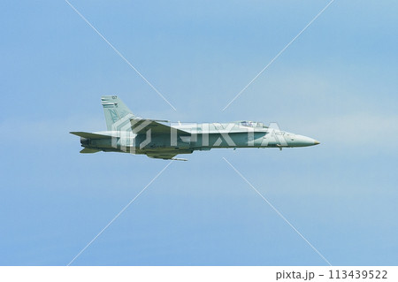 アメリカ海軍F/A-18Cホーネット水平飛行 113439522