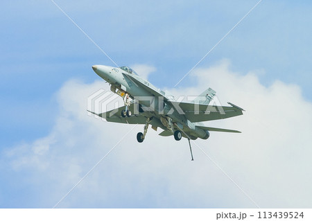 アメリカ海軍F/A-18Cホーネットの着艦進入 113439524