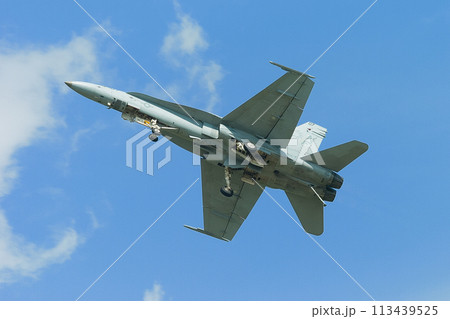 アメリカ海軍F/A-18Cホーネットのゴーアラウンド 113439525
