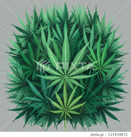 Cannabis marijuana hemp leaf green background medicine weed herb 113439672
