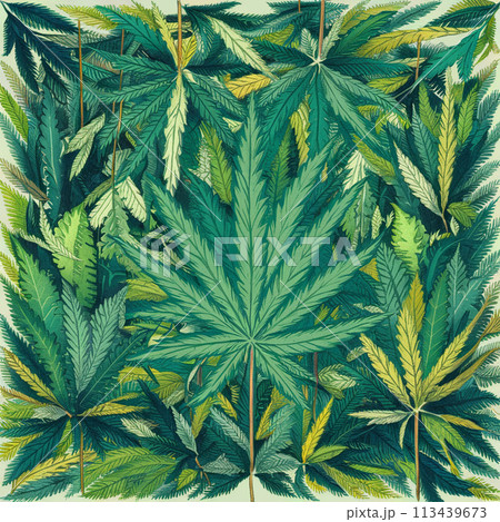 Cannabis marijuana hemp leaf green background medicine weed herb 113439673