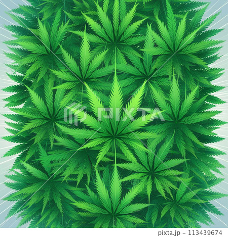 Cannabis marijuana hemp leaf green background medicine weed herb 113439674