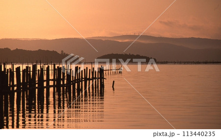 朝焼けの牡蠣棚 113440235