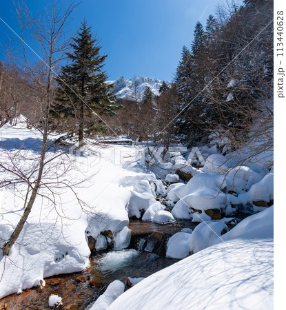 雪の八ヶ岳赤岳鉱泉への道　北沢登山道 113440628