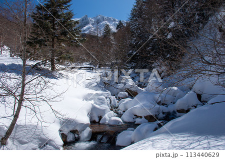 雪の八ヶ岳赤岳鉱泉への道　北沢登山道 113440629