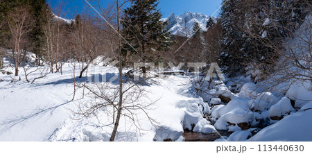 雪の八ヶ岳赤岳鉱泉への道　北沢登山道 113440630