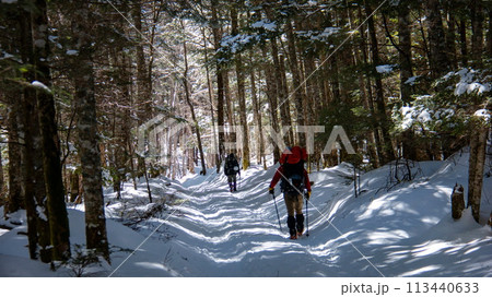雪の八ヶ岳赤岳鉱泉への道 北沢登山道 雪の八ヶ岳赤岳鉱泉への道 北沢登山道 113440633