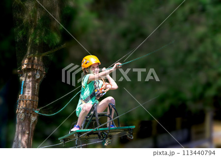 Adventure climbing high wire park Adventure climbing high wire park 113440794