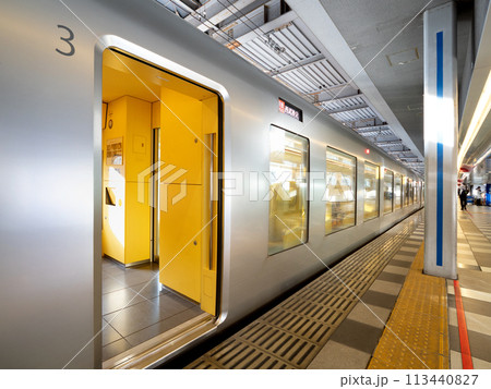 西武特急ちちぶ　池袋駅　東京都 113440827