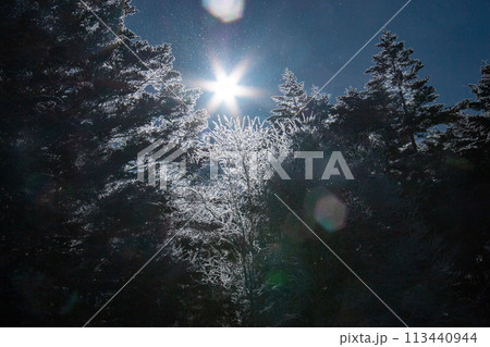 雪の八ヶ岳赤岳鉱泉　テント場から　極寒の日の出の景色 113440944