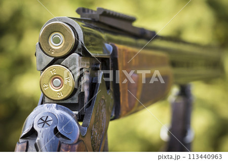 Shutter hunting rifle Shutter hunting rifle 113440963