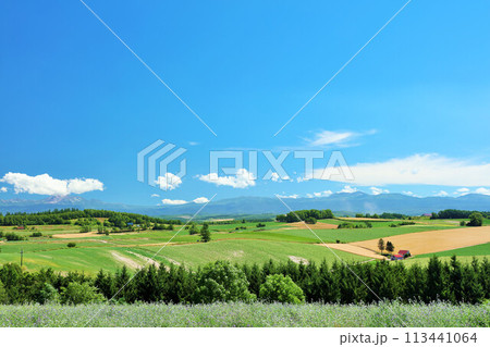 北海道　夏の青空と美瑛の風景 113441064