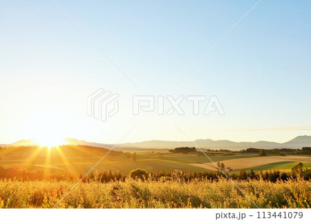 北海道　秋の朝　夜明けの太陽 113441079