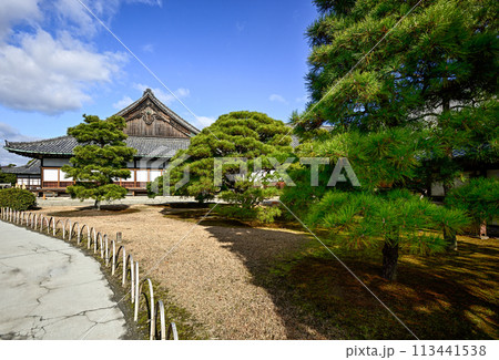 二条城 二の丸庭園 二条城 二の丸庭園 113441538