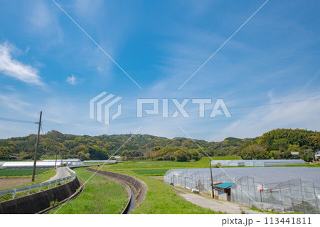 青い空の見える田舎の風景 青い空の見える田舎の風景 113441811