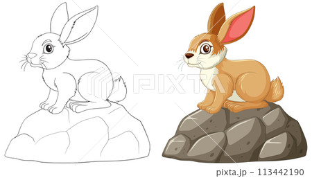 Cute Rabbit on a Rock Illustration 113442190