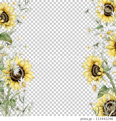 Frame watercolor summer flowers. Meadow bouquet with white daisy and yellow sunflower flowers. Hand drawn illustration on isolated background. Blossom botanical border with paint wildflower. 113442246