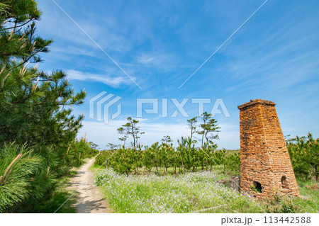 煉瓦の煙突と青い空の風景 113442588