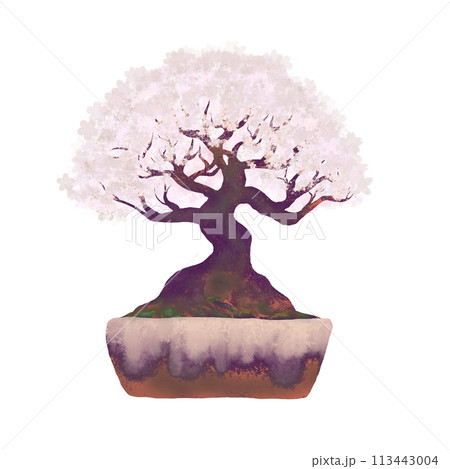 華やかな満開の桜の盆栽・背景透過イラストセピア系のイラスト素材