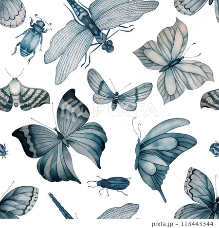 Butterflies, moths, insects, painted in...のイラスト素材 [113443344] - PIXTA