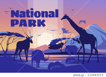 African savanna sunrise landscape with wild animal silhouettes. National Wildlife Park. Tourism and adventure. Vector illustration 113443513