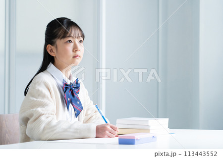 勉強する中学生の女の子 113443552