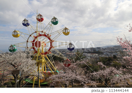 日立市、神峰公園 113444144