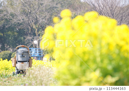 菜の花畑のペットカート 菜の花畑のペットカート 113444163