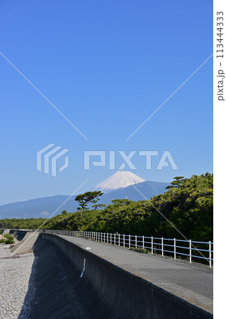 千本浜からの富士山 千本浜からの富士山 113444333